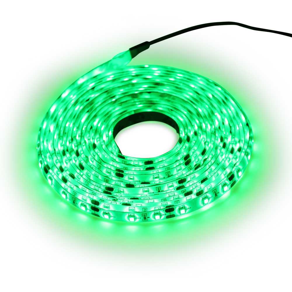 Neon LED Tape Light FPCW-5050-24V-60L-Green